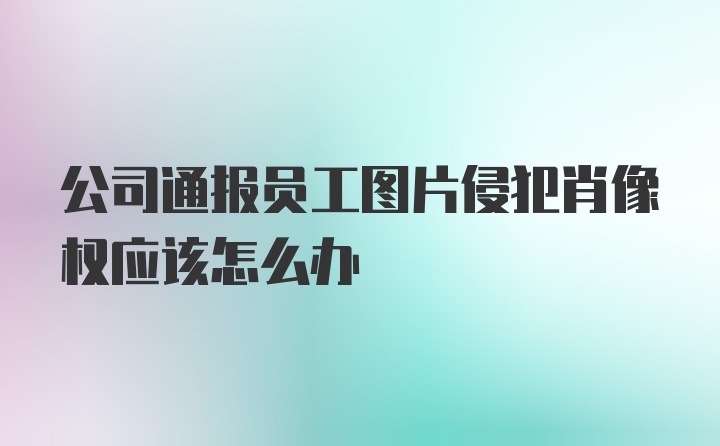 公司通报员工图片侵犯肖像权应该怎么办