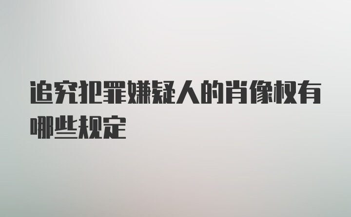 追究犯罪嫌疑人的肖像权有哪些规定