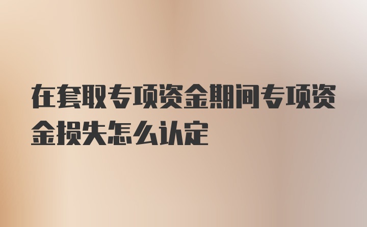 在套取专项资金期间专项资金损失怎么认定