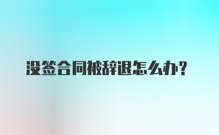 没签合同被辞退怎么办？