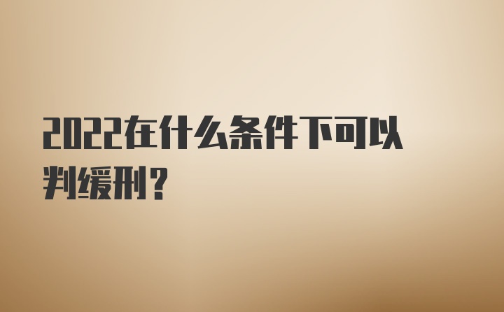 2022在什么条件下可以判缓刑？