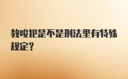 教唆犯是不是刑法里有特殊规定？