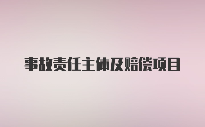 事故责任主体及赔偿项目