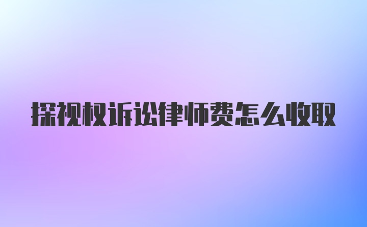 探视权诉讼律师费怎么收取