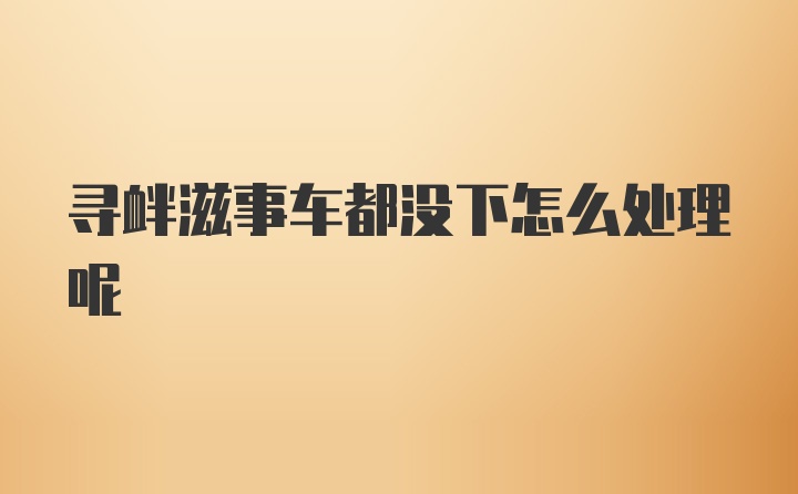 寻衅滋事车都没下怎么处理呢