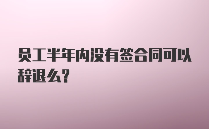 员工半年内没有签合同可以辞退么？