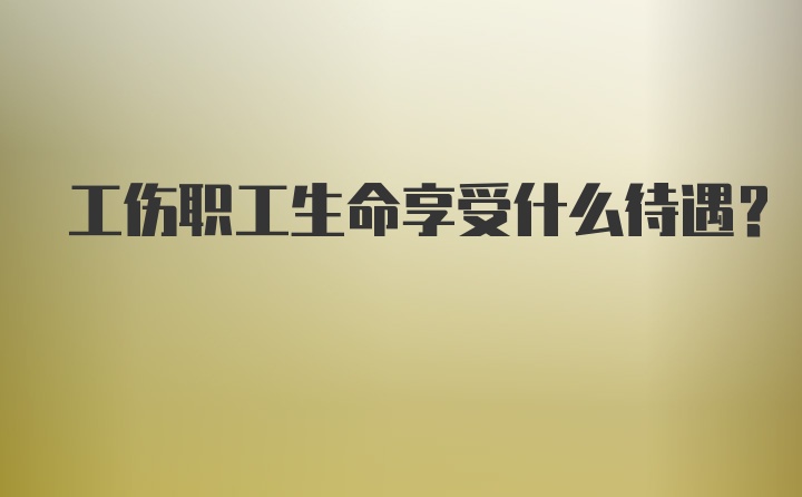 工伤职工生命享受什么待遇？