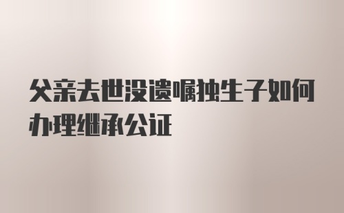 父亲去世没遗嘱独生子如何办理继承公证