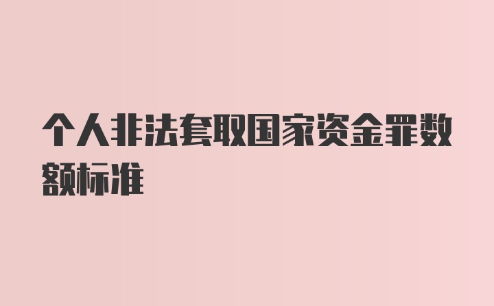 个人非法套取国家资金罪数额标准