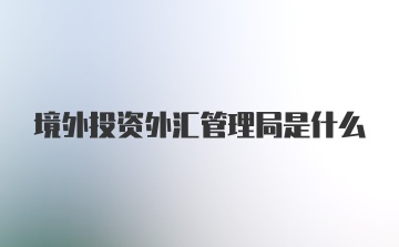 境外投资外汇管理局是什么