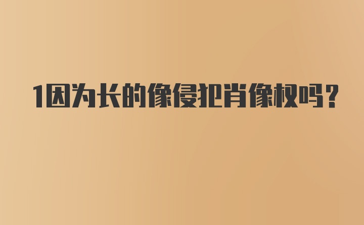 1因为长的像侵犯肖像权吗？