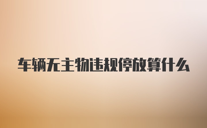 车辆无主物违规停放算什么