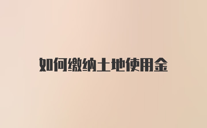 如何缴纳土地使用金