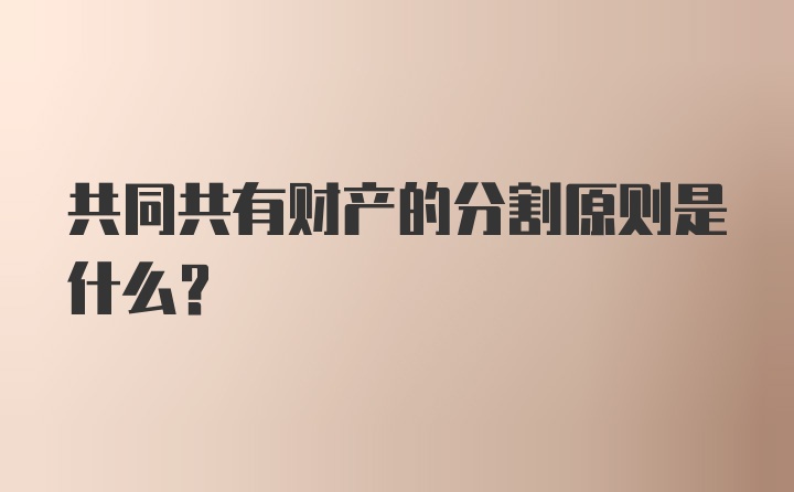 共同共有财产的分割原则是什么？