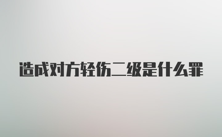 造成对方轻伤二级是什么罪