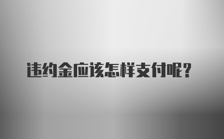 违约金应该怎样支付呢？