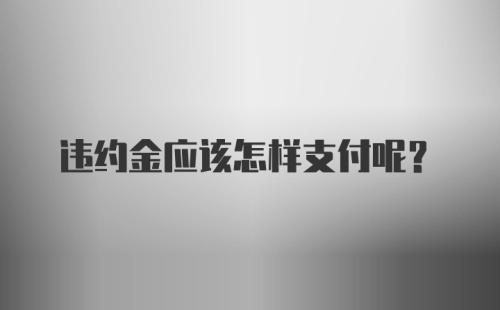 违约金应该怎样支付呢？