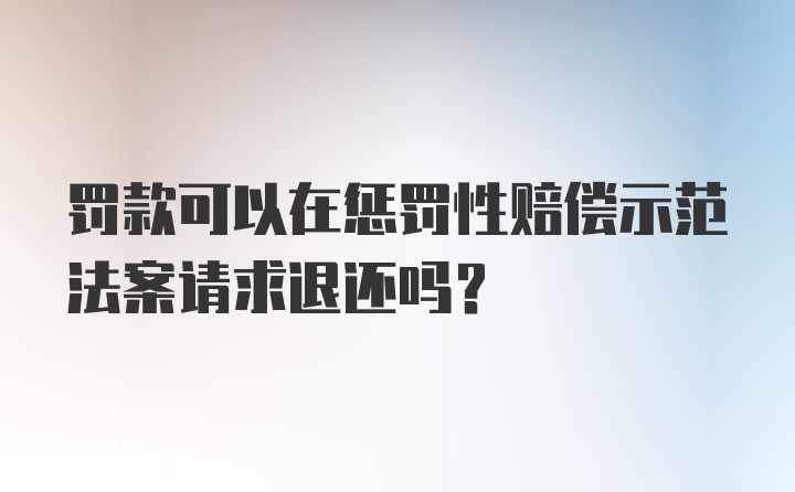 罚款可以在惩罚性赔偿示范法案请求退还吗？