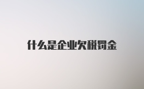 什么是企业欠税罚金