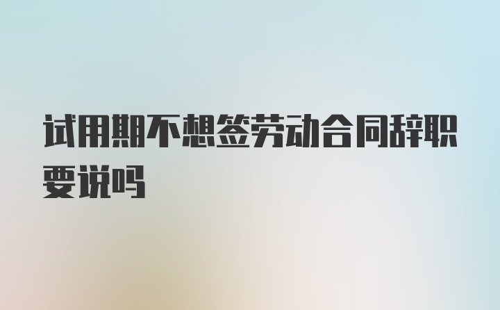 试用期不想签劳动合同辞职要说吗