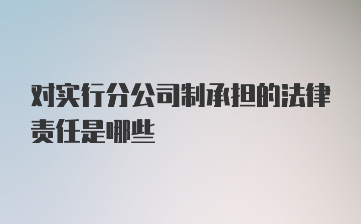 对实行分公司制承担的法律责任是哪些