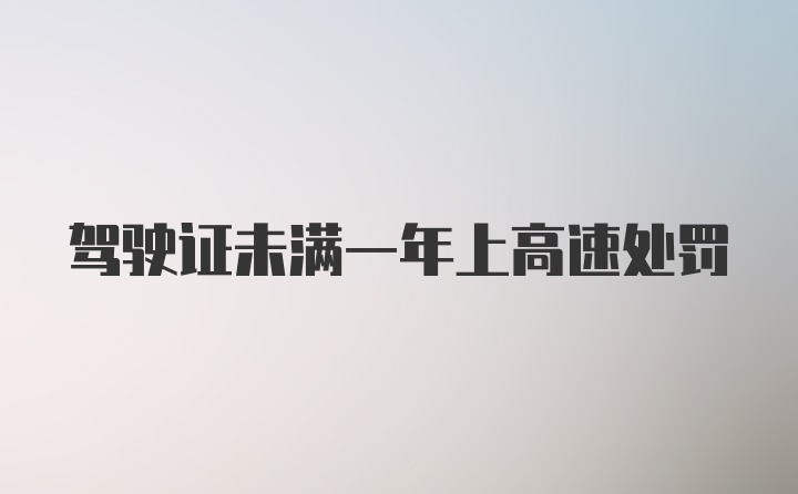 驾驶证未满一年上高速处罚