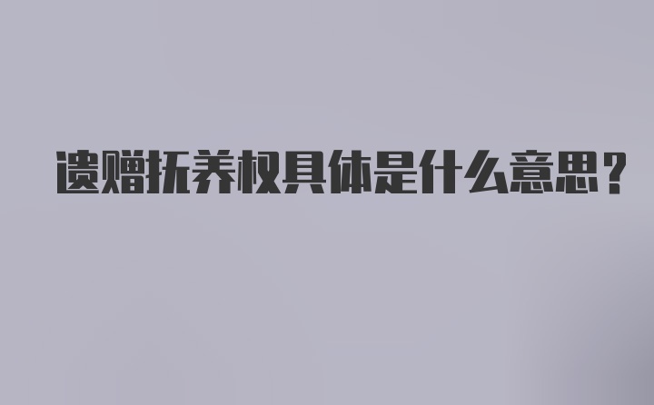 遗赠抚养权具体是什么意思？