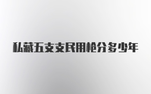 私藏五支支民用枪分多少年