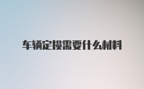 车辆定损需要什么材料