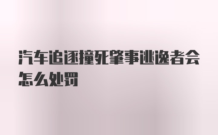 汽车追逐撞死肇事逃逸者会怎么处罚