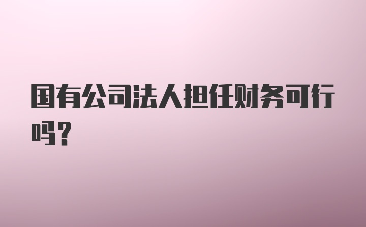 国有公司法人担任财务可行吗?