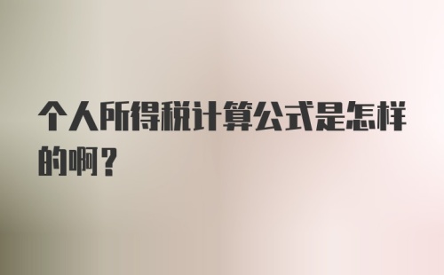 个人所得税计算公式是怎样的啊？