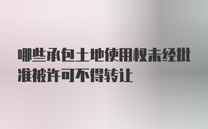 哪些承包土地使用权未经批准被许可不得转让