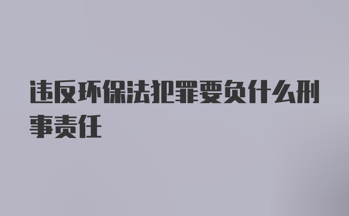 违反环保法犯罪要负什么刑事责任