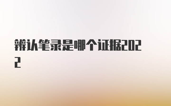 辨认笔录是哪个证据2022