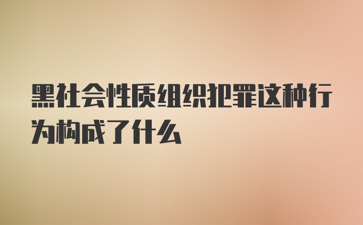 黑社会性质组织犯罪这种行为构成了什么