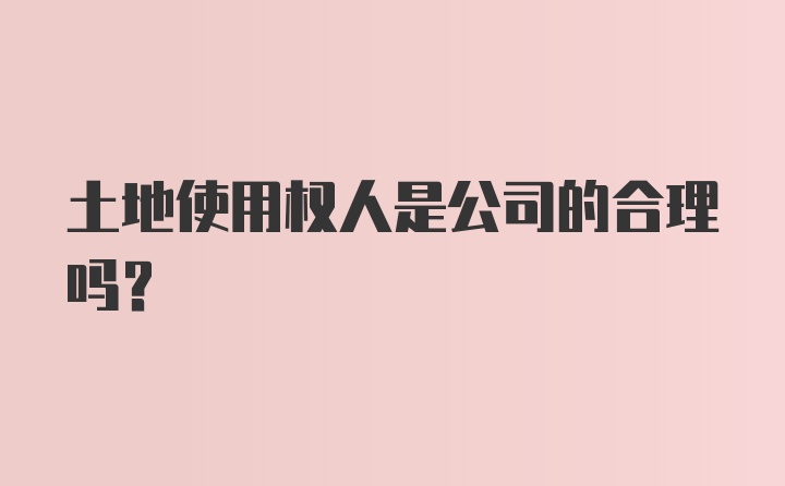 土地使用权人是公司的合理吗？