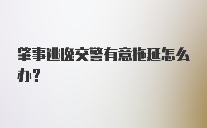 肇事逃逸交警有意拖延怎么办？