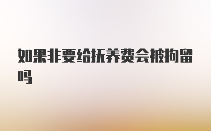 如果非要给抚养费会被拘留吗