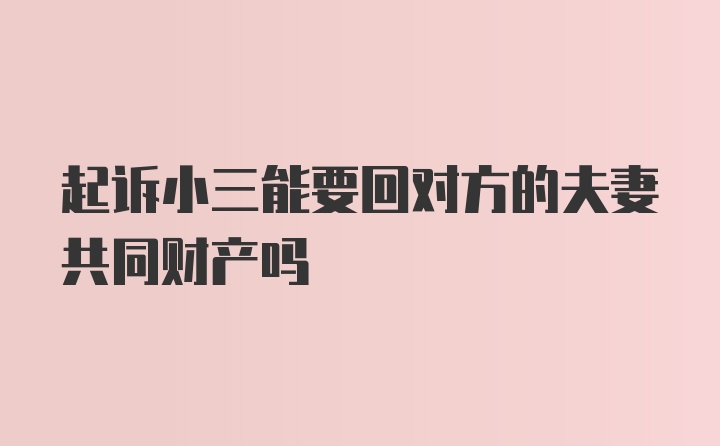 起诉小三能要回对方的夫妻共同财产吗