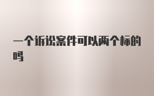 一个诉讼案件可以两个标的吗