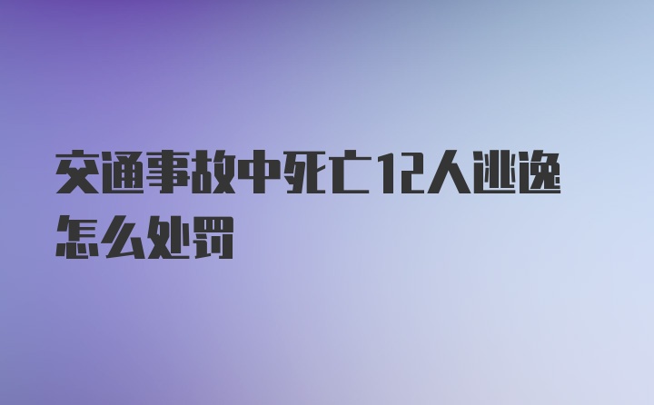 交通事故中死亡12人逃逸怎么处罚