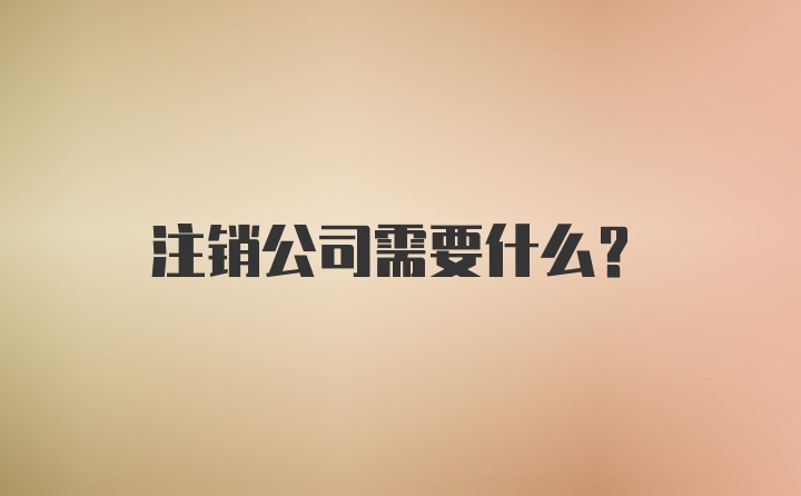 注销公司需要什么？