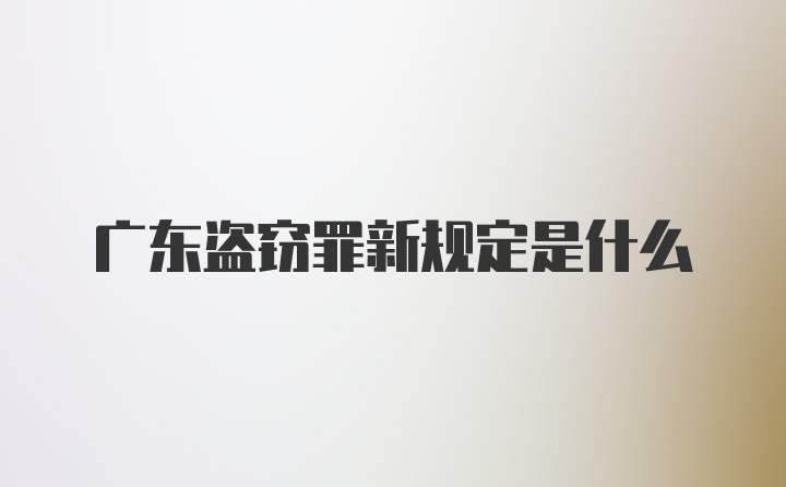 广东盗窃罪新规定是什么