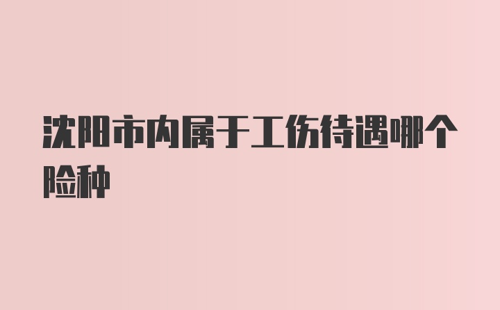 沈阳市内属于工伤待遇哪个险种