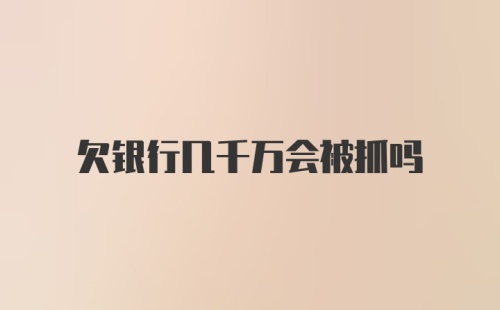 欠银行几千万会被抓吗