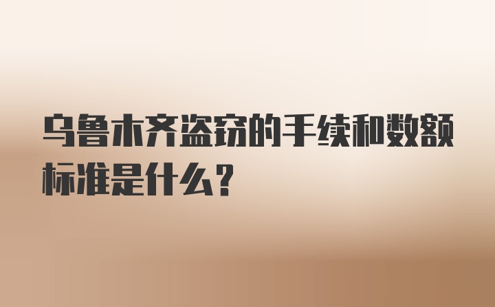 乌鲁木齐盗窃的手续和数额标准是什么？