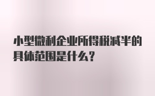 小型微利企业所得税减半的具体范围是什么？