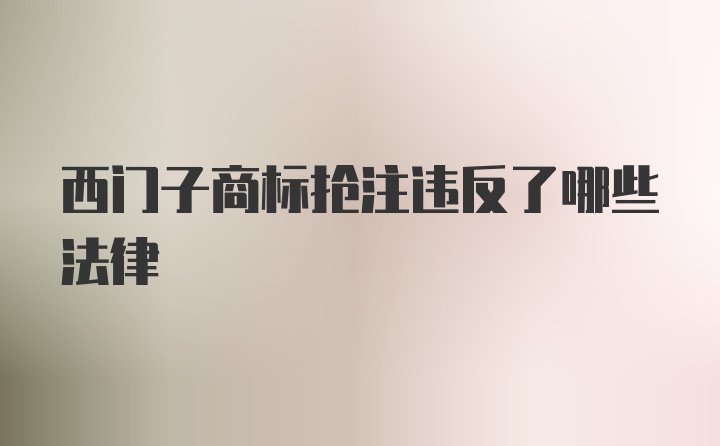 西门子商标抢注违反了哪些法律