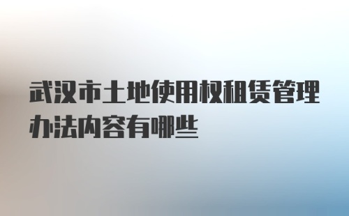 武汉市土地使用权租赁管理办法内容有哪些